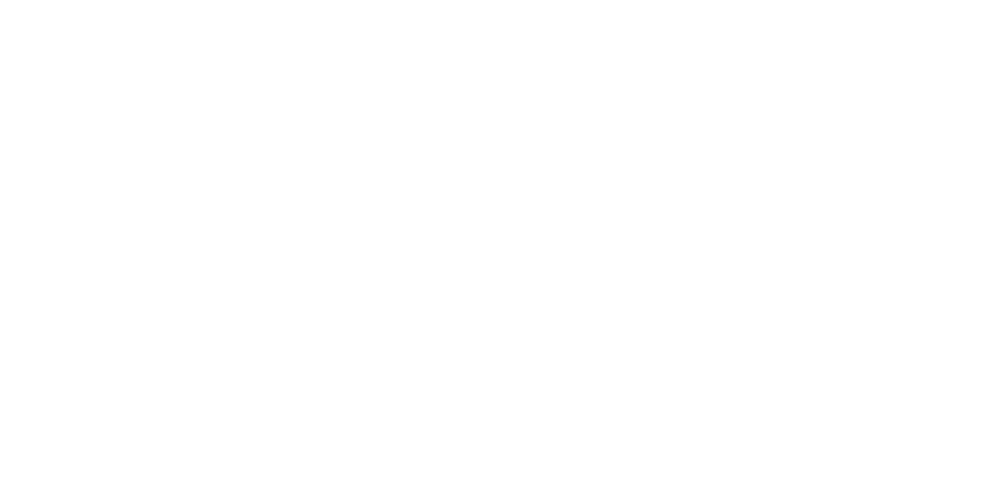 VivoHub